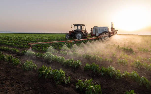 Best Commercial Pest Control Services  in Pleasant Hill, PA