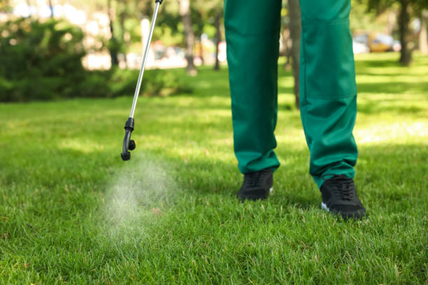 Wildlife Control Services in Pleasant Hill, PA