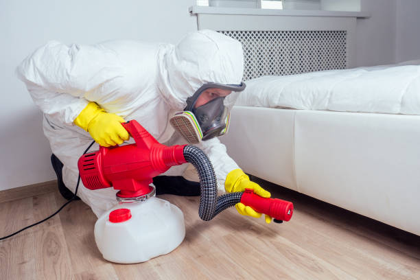 Insect Control in Pleasant Hill, PA