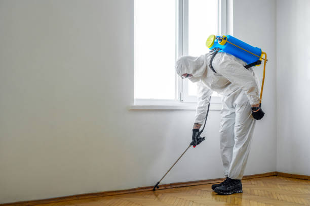 Best Local Pest Control Services  in Pleasant Hill, PA