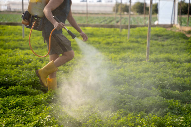 Best Pest Control for Restaurants  in Pleasant Hill, PA