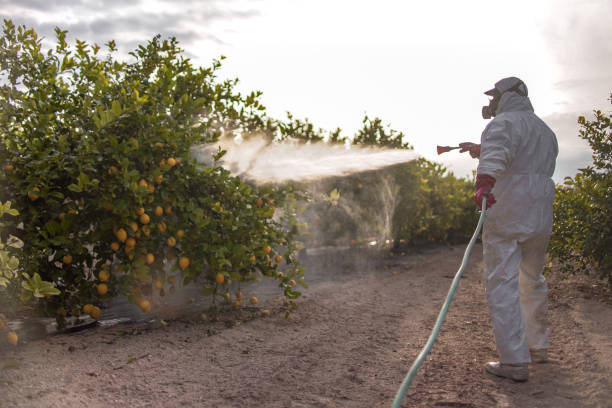 Best Best Pest Control Companies  in Pleasant Hill, PA