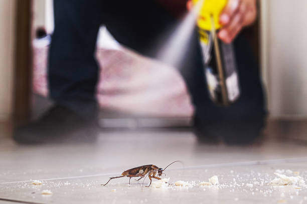 Best Mosquito Control Services  in Pleasant Hill, PA