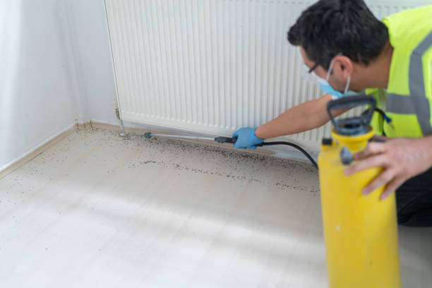 Best Affordable Pest Control Services  in Pleasant Hill, PA