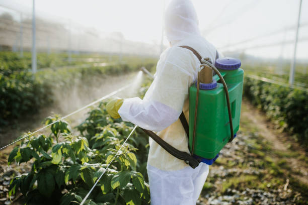 Best Pest Inspection Near Me  in Pleasant Hill, PA